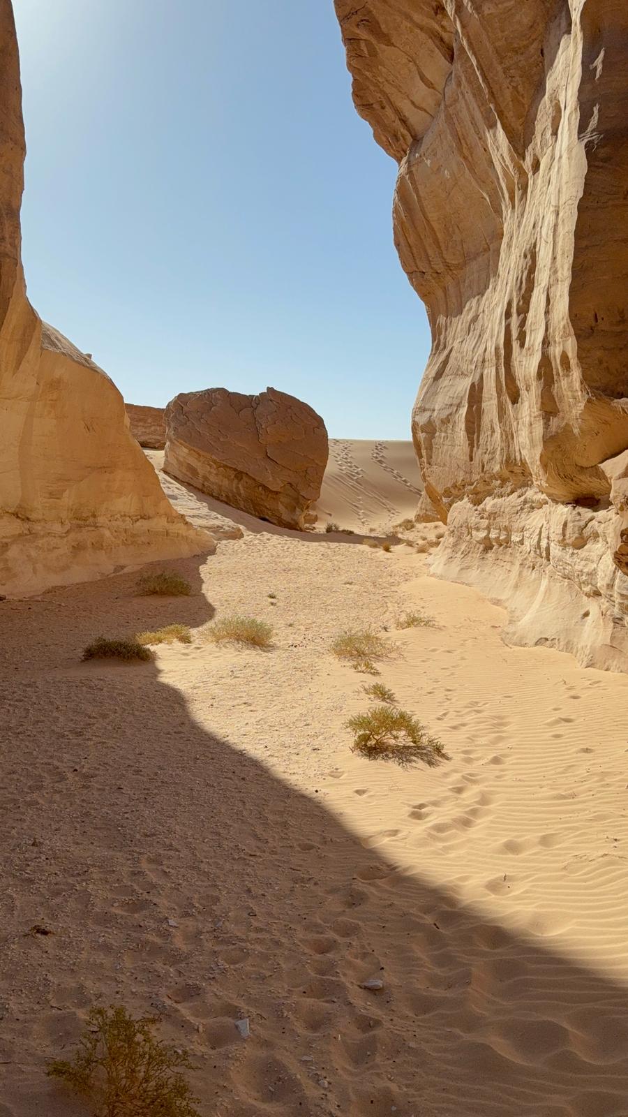 2f90aaec-a738-448a-a4b7-6fedb23f6758